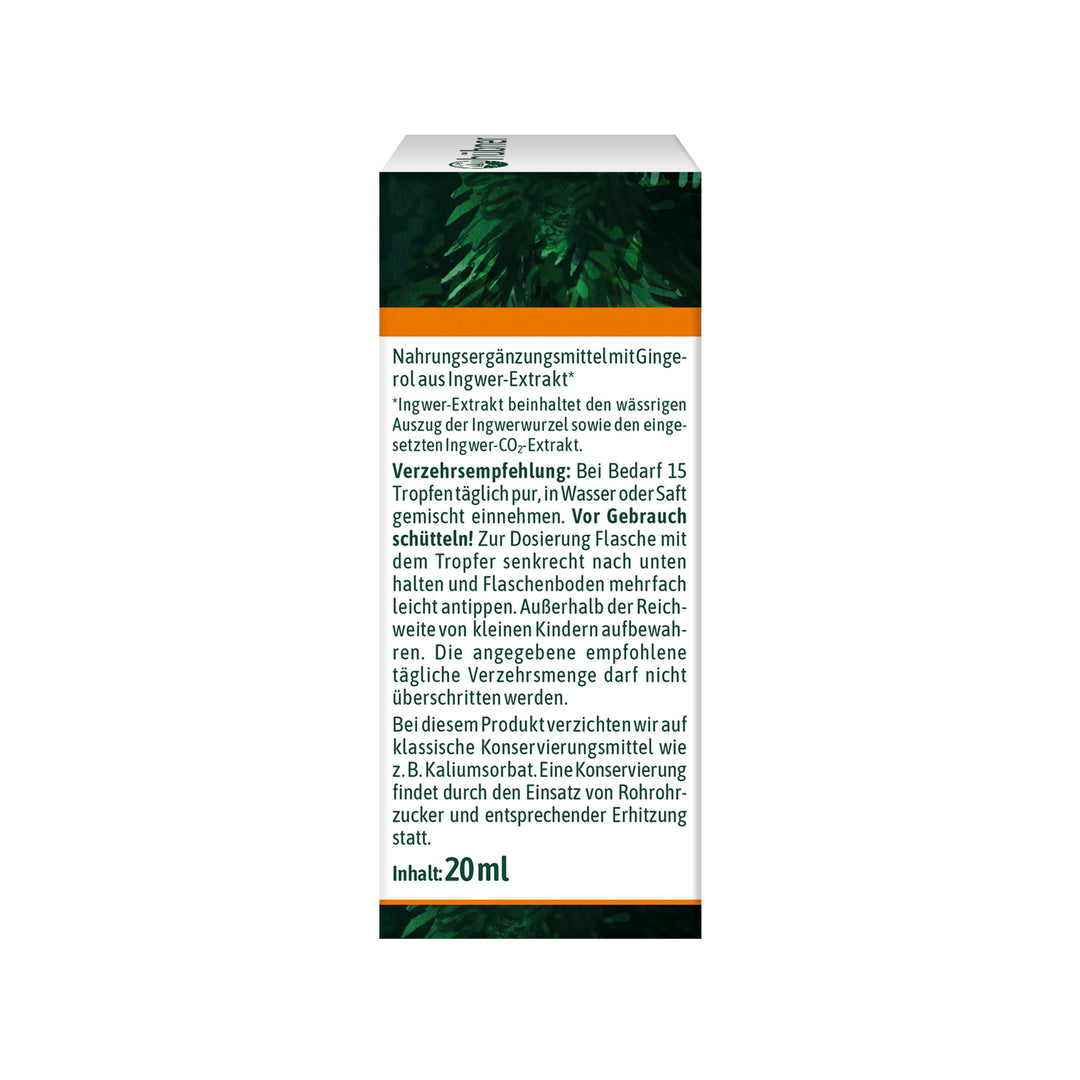 Hübner Ingwer Tropfen BIO (20 ml)