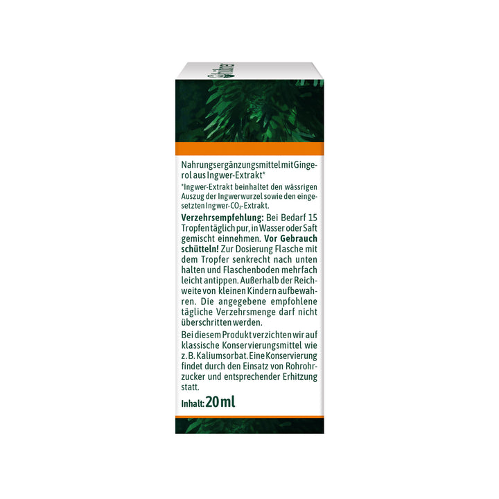 Hübner Ingwer Tropfen BIO (20 ml)