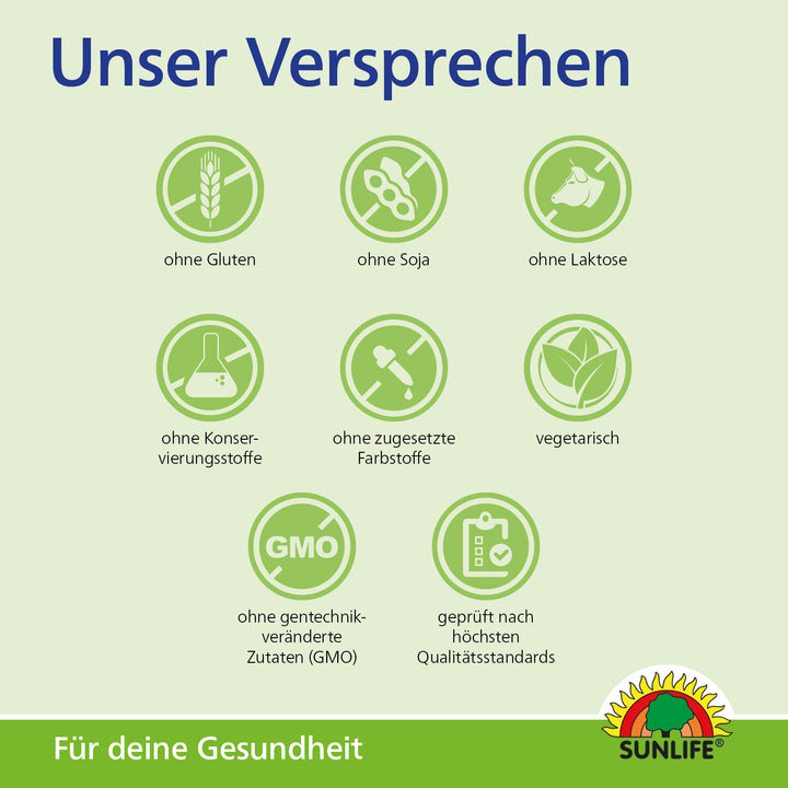 SUNLIFE Heißer Holunder + Granatapfel (20 Sticks)