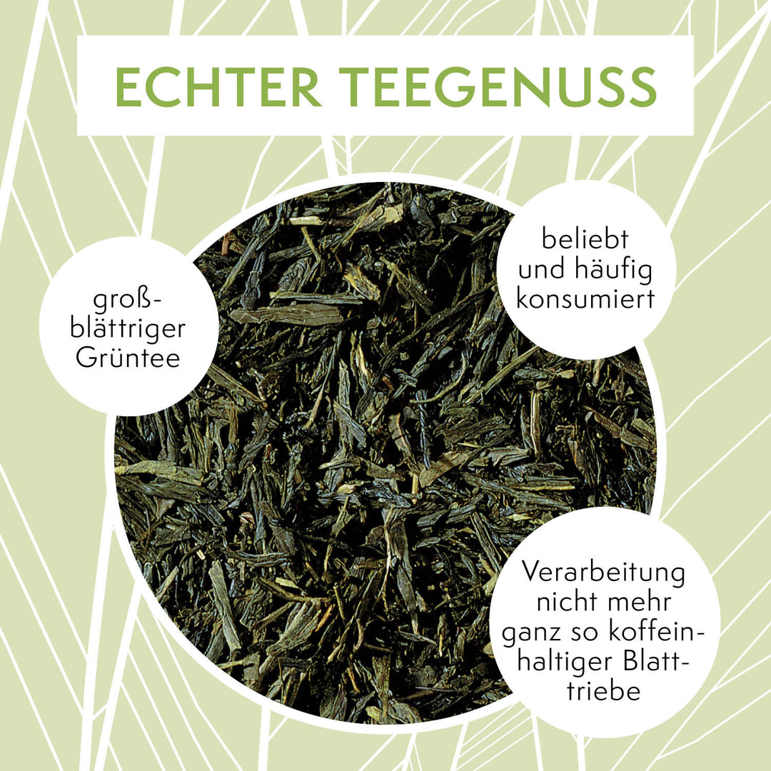 sovita Sencha Grüntee